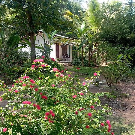 Sanjana Home Stay Habarana Bagian luar foto