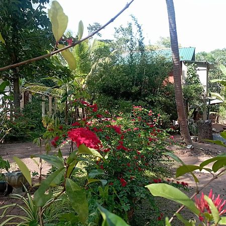 Sanjana Home Stay Habarana Bagian luar foto