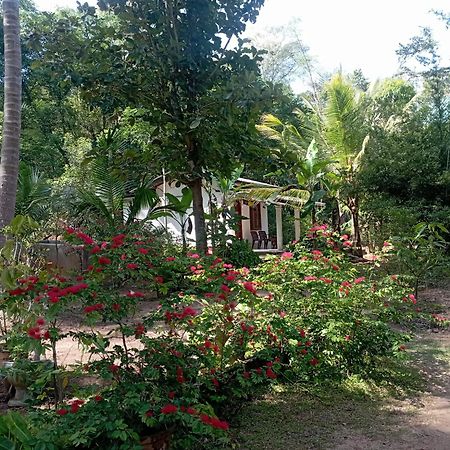 Sanjana Home Stay Habarana Bagian luar foto