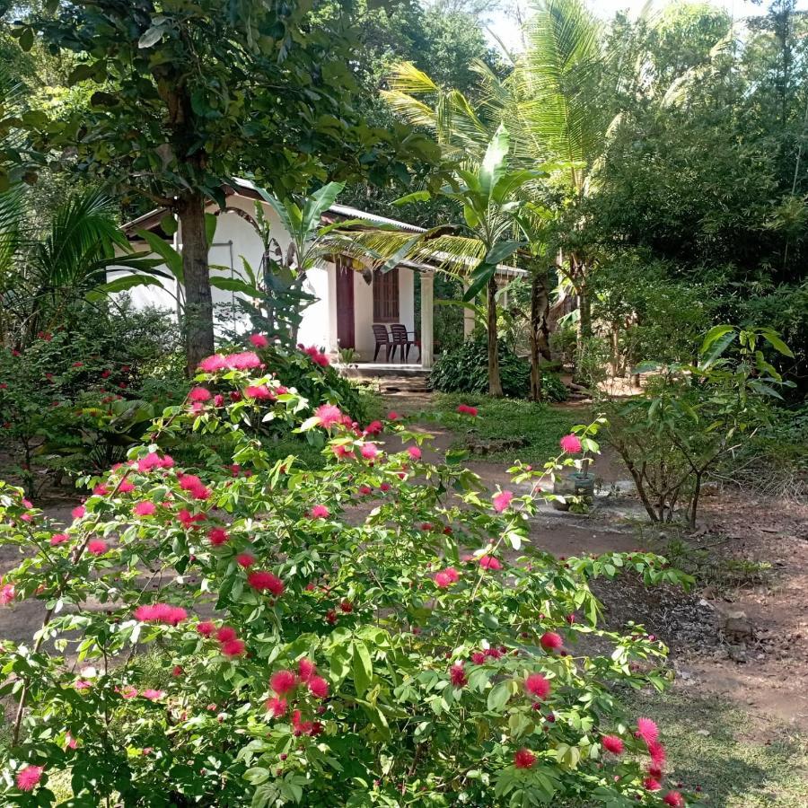 Sanjana Home Stay Habarana Bagian luar foto