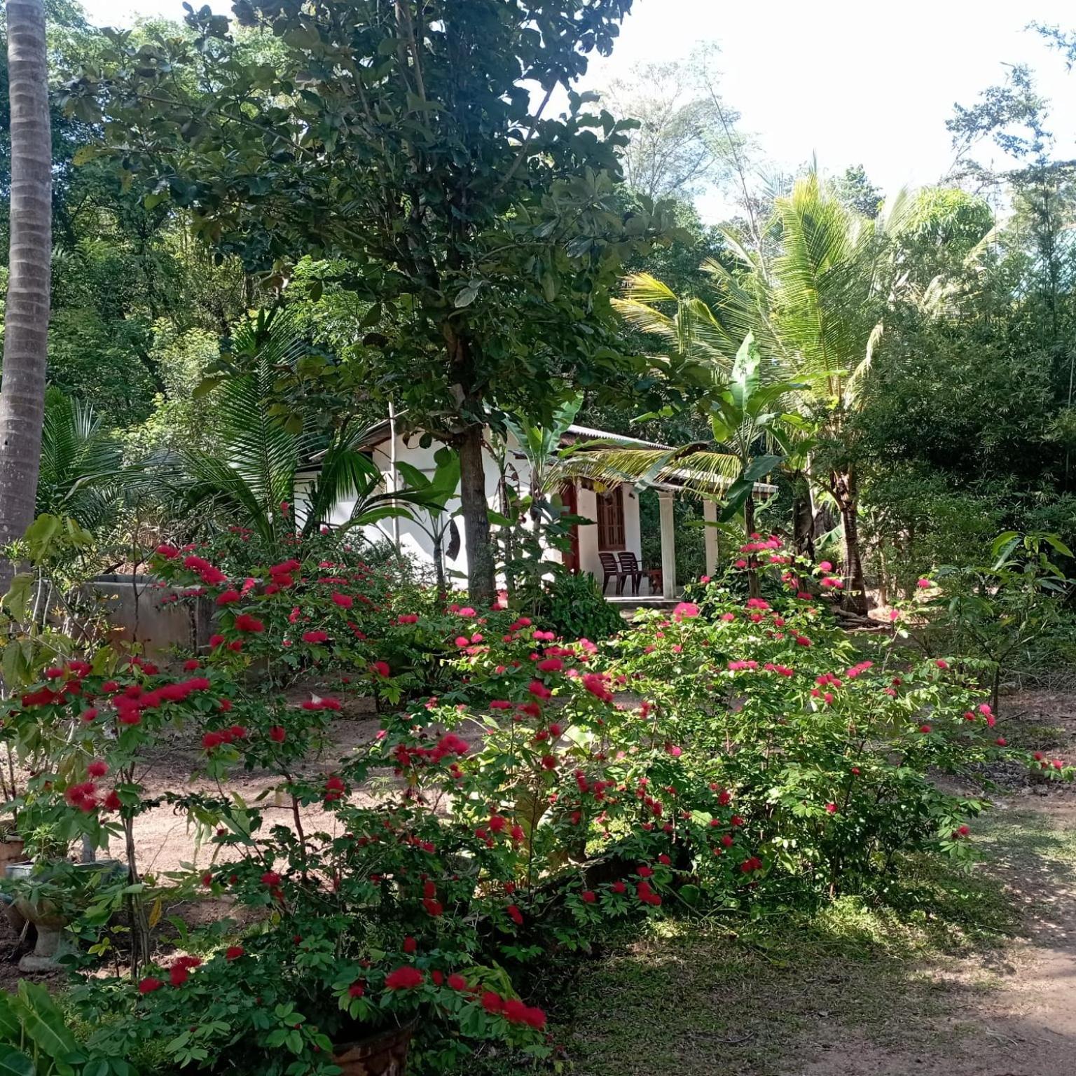 Sanjana Home Stay Habarana Bagian luar foto