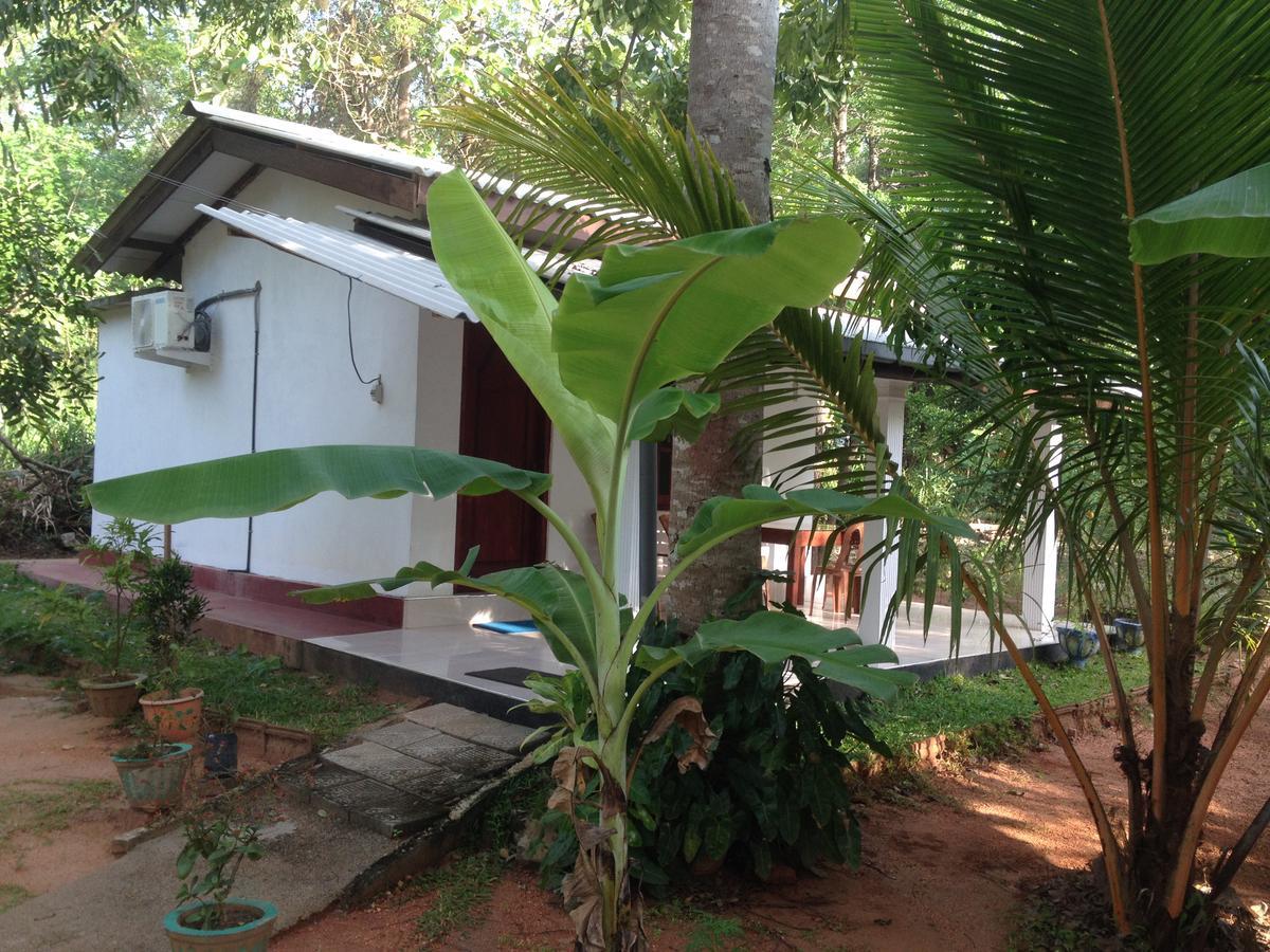 Sanjana Home Stay Habarana Bagian luar foto
