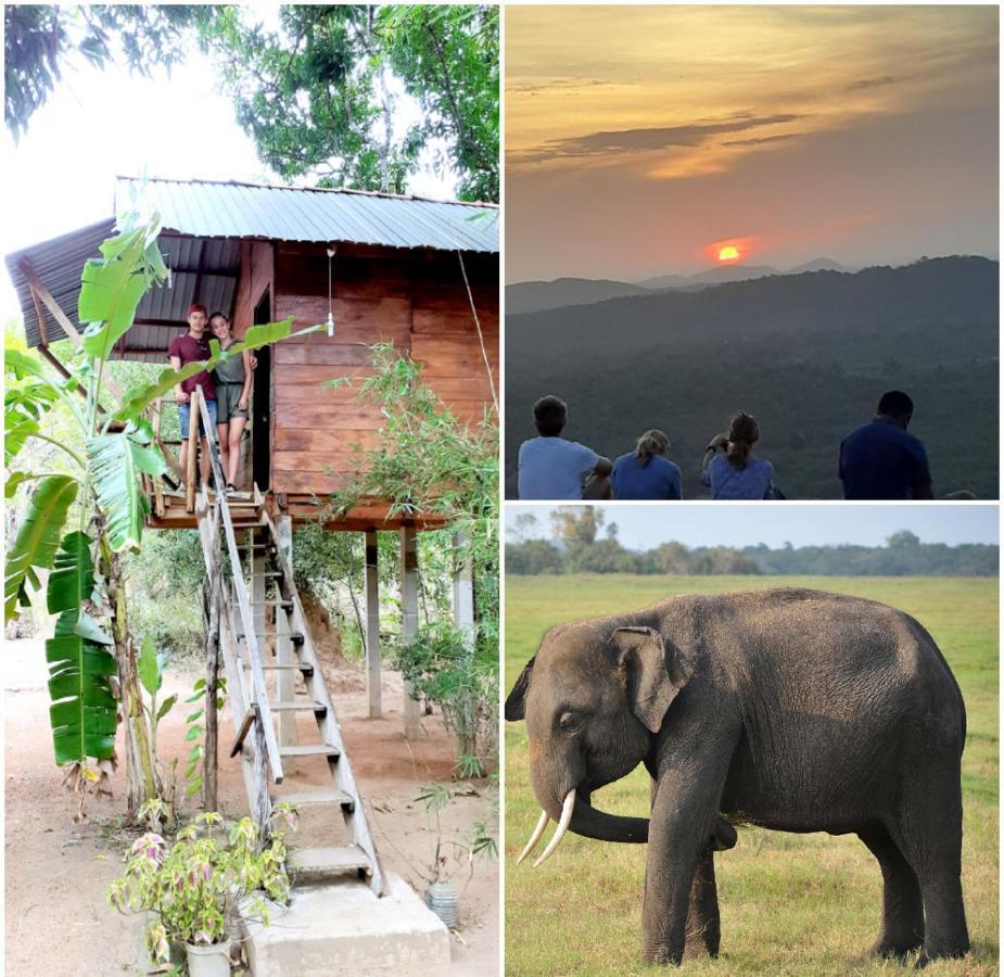 Sanjana Home Stay Habarana Bagian luar foto